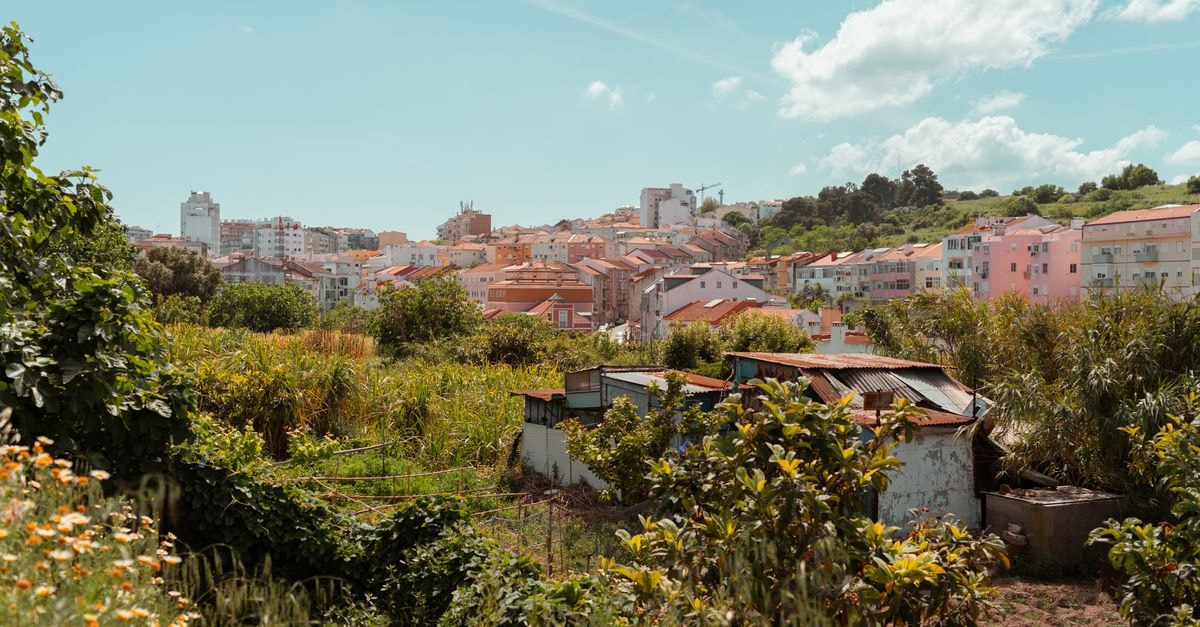 Évora Olive Hotel, Évora — An Olive Oil–Inspired Stay Inside the City Walls Explore the lush greenery and quaint architecture of Lisbon, Portugal's vibrant cityscape.