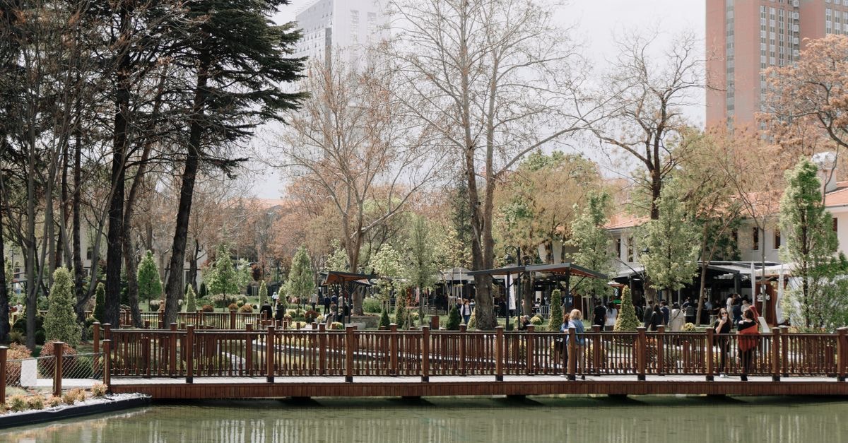 Sultanbeyli Travel Guide: Green Escapes on the Asian Side A peaceful park scene with a wooden bridge over a pond surrounded by trees and city buildings in the background.