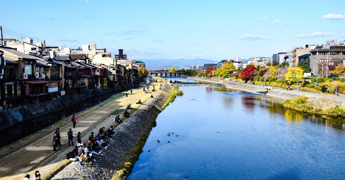 Ichinomiya Travel Guide: Planning Tips, Costs and Things to Do Beautiful scenery of Kamo River with cityscape and autumn foliage in Kyoto, Japan.