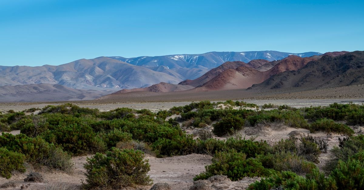 Catamarca Travel Guide: Planning Tips, Costs and Things to Do Expansive view of barren desert with mountains under a clear blue sky.
