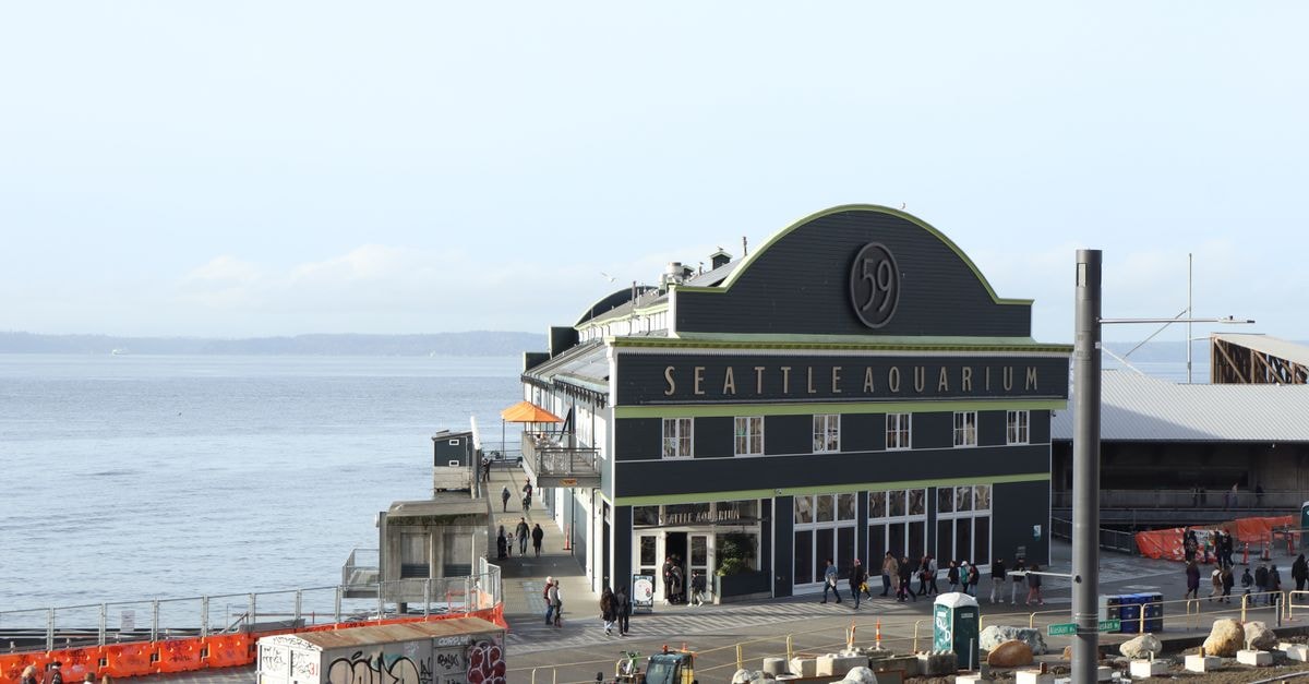 Seattle Travel Guide: Waterfront Light and Quiet Discoveries Explore the Seattle Aquarium located by the beautiful waterfront. Perfect for urban exploration.