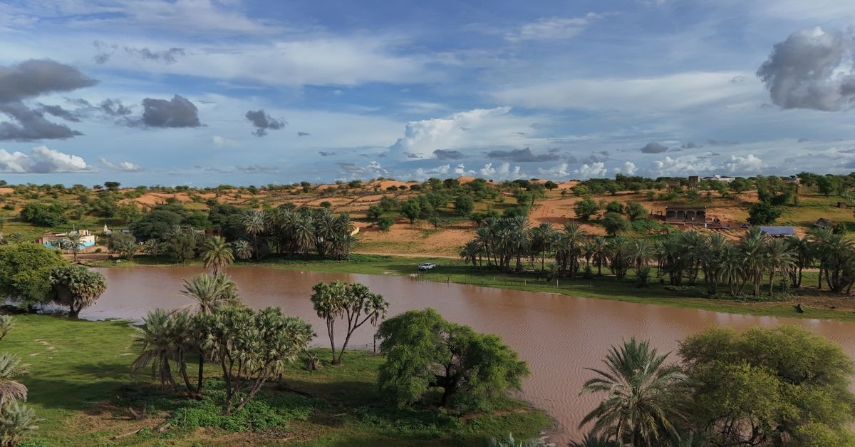 Ouahigouya Travel Guide: A Friendly Sahel Gateway A picturesque river landscape with palm trees and desert dunes under a dramatic sky.