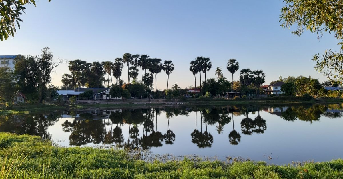 Udon Thani Travel Guide: A Quiet Northeastern City Worth Knowing A serene lakeside view reflecting palm trees and village houses in Mueang Tai, Thailand.