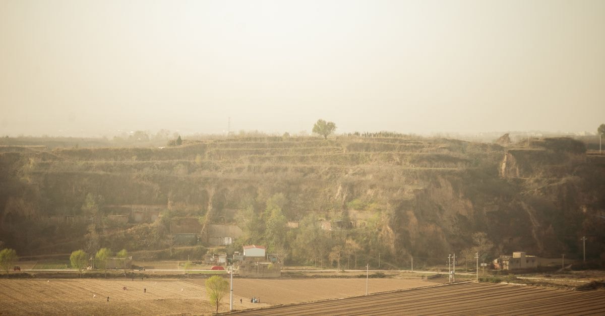 Qingyang Travel Guide: Loess Plateau Roots and Eating Traditions A tranquil view of farmland and terraced hills under a soft, warm light.