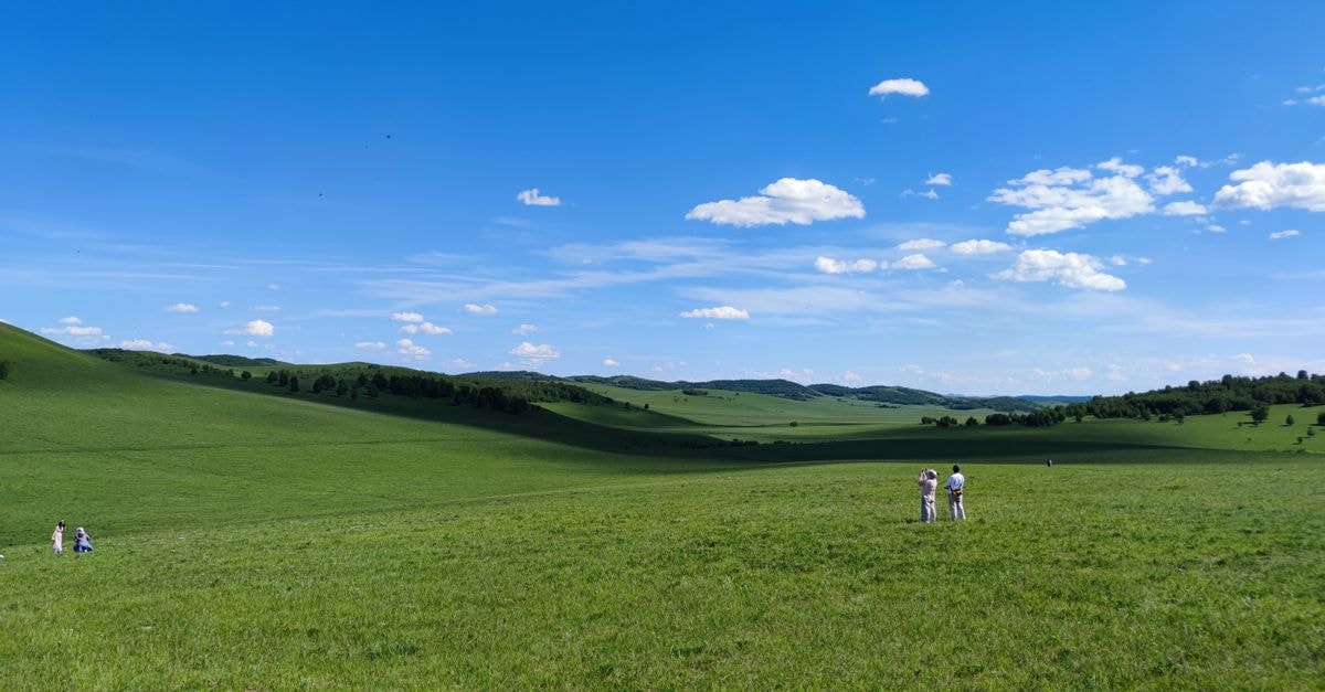 A scenic view of lush grasslands stretching under a vibrant blue summer sky.