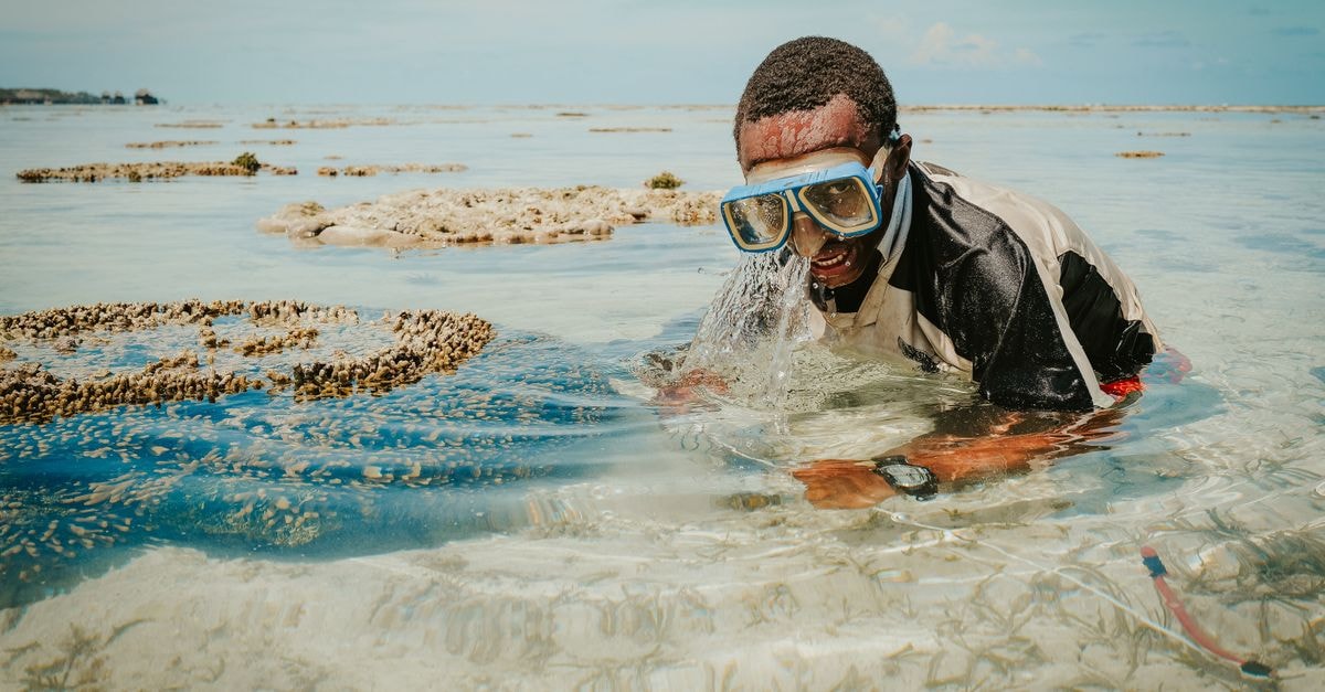 Tarawa Travel Guide: A Gateway to Kiribati's Gilbert Islands Man snorkeling in clear Zanzibar waters, capturing marine beauty.