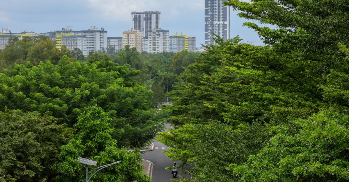 City Plaza 17 Chandigarh: Sco 96-97 Sector 17 Stay View of an urban skyline with lush green trees and a winding road.