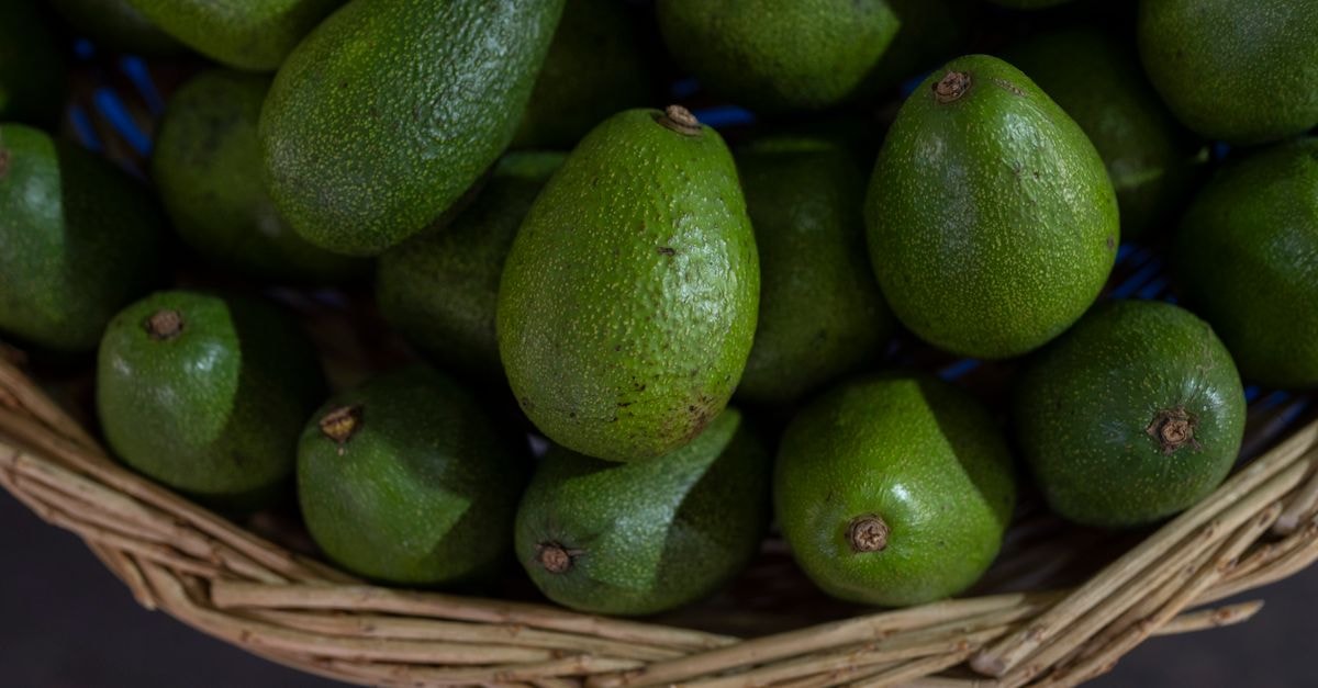 Uruapan Travel Guide: Parks, Markets and Avocado Country A close-up view of freshly harvested organic avocados in a wicker basket at a market.