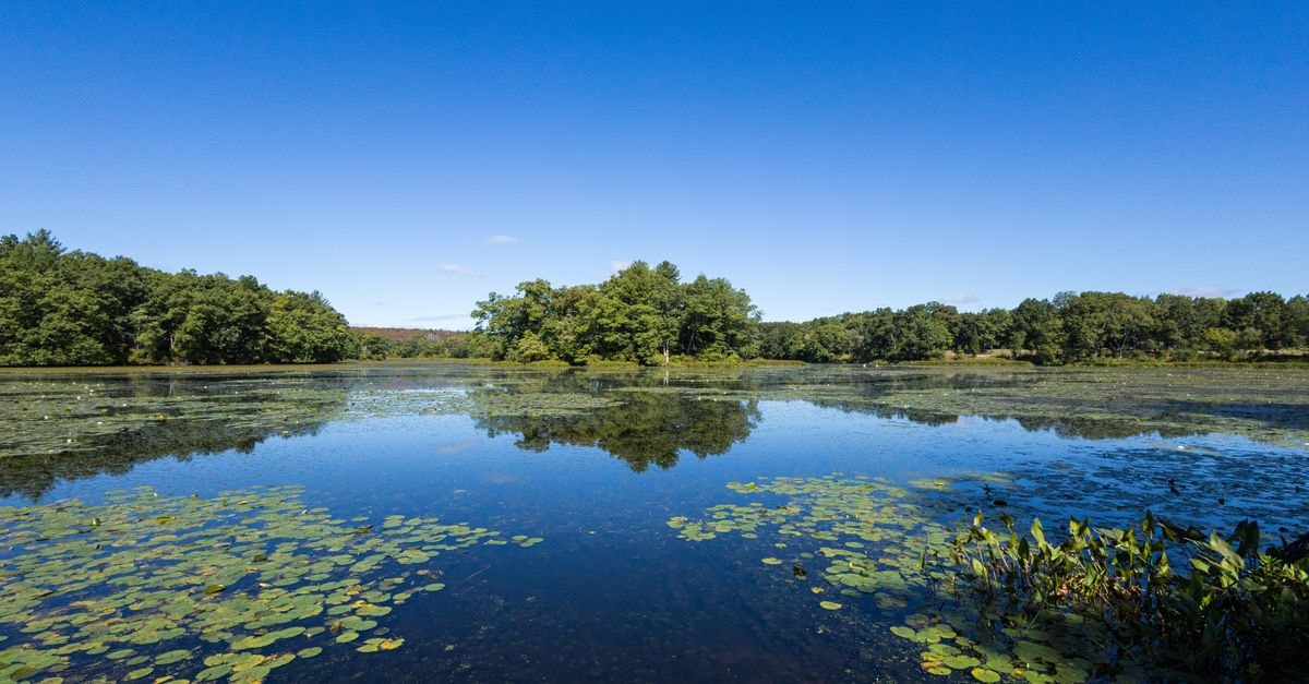 Hotel Concord, Turin — A Quiet Address Near Piazza San Carlo Peaceful lake scene in Concord, MA with clear reflections and lush greenery.