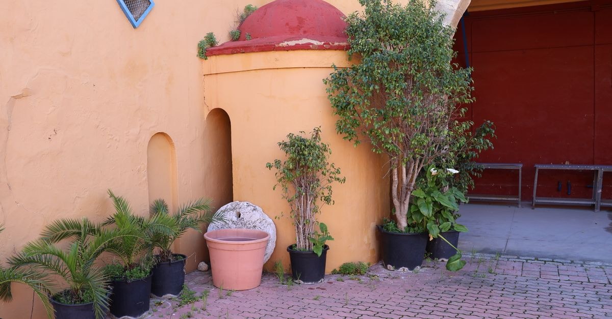 Courtyard in Port of Spain: A Hollywood Boulevard Address in Laventille A rustic courtyard with potted plants against a vibrant wall in El Puerto de Santa María, Spain.