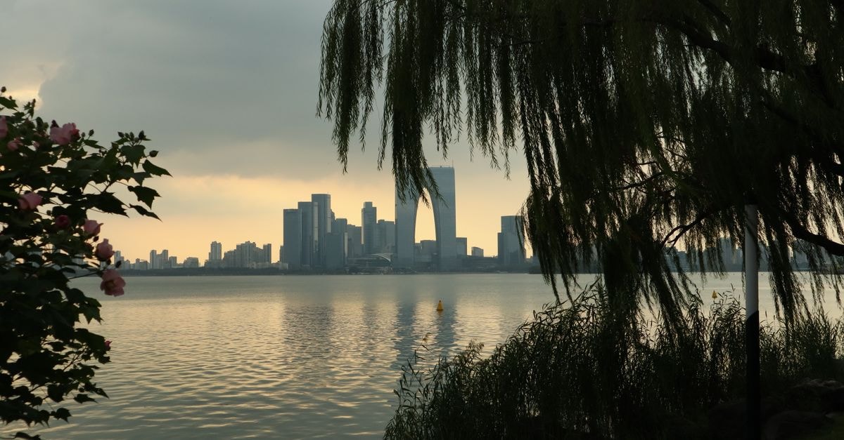 Serene cityscape at dusk with silhouetted trees and a calm river foreground.