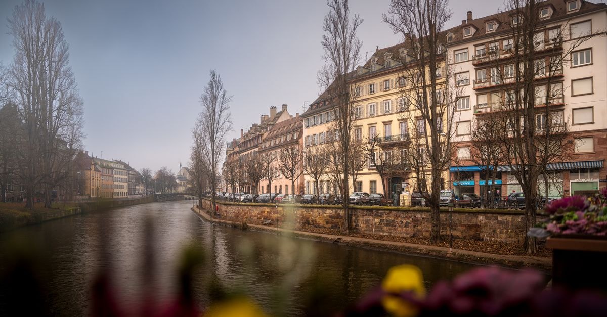 Charming canalside view of historic buildings in Strasbourg, France, highlighting European architecture.