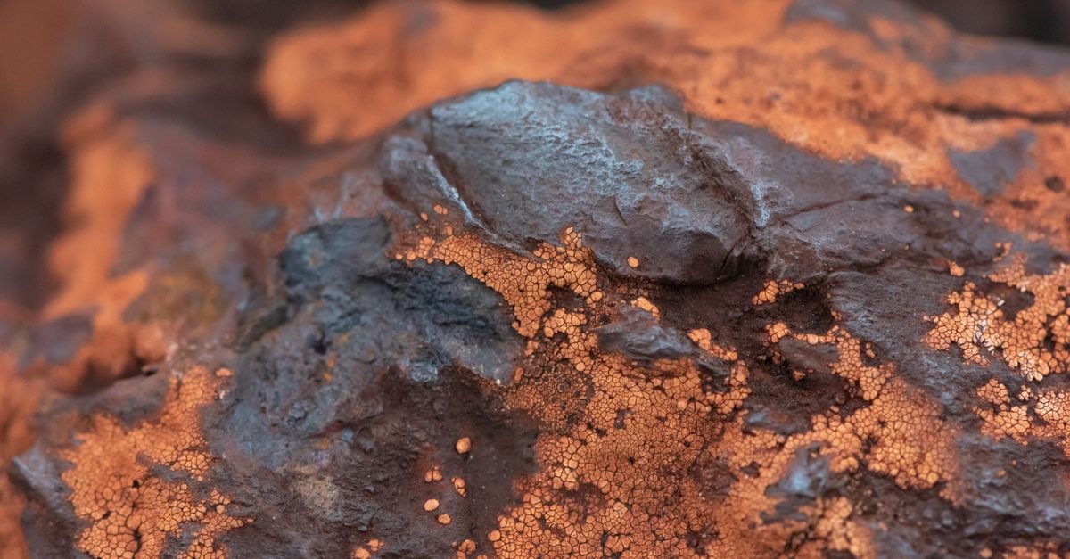 NMDC Posts Record 53.15 MT Iron Ore Output, Targets 100 MT by 2030 Detailed texture of iron ore rock in Minas Gerais, Brazil, showcasing earthy tones and mineral structures.