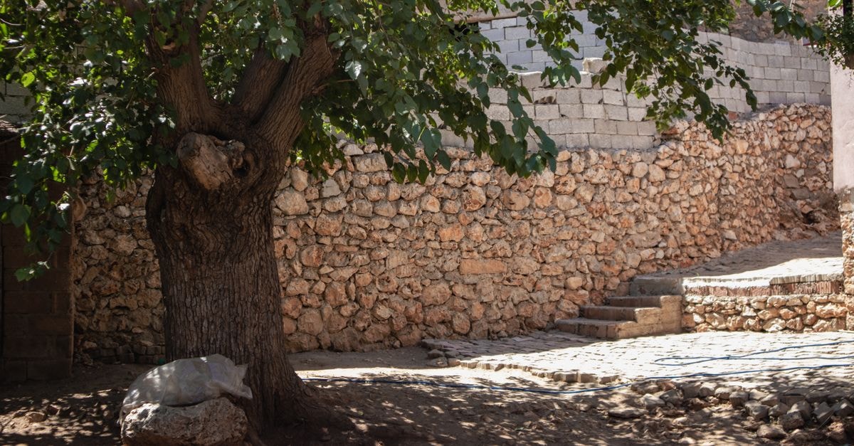 Shiraz Travel Guide: Poets, Gardens, and Ancient Stones A rustic scene with a stone wall and tree in Çermik, Türkiye, capturing natural beauty.