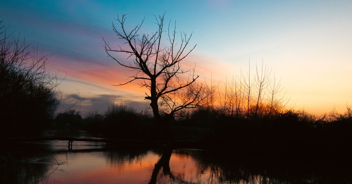 A stunning sunset over a tranquil lake in Saly, Senegal, reflecting vibrant colors and silhouettes of trees.