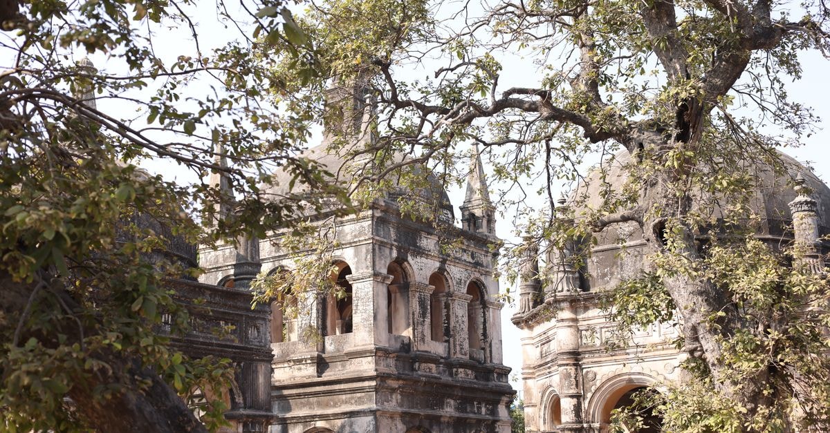 Ancient architecture nestled among trees in Surat's urban landscape.
