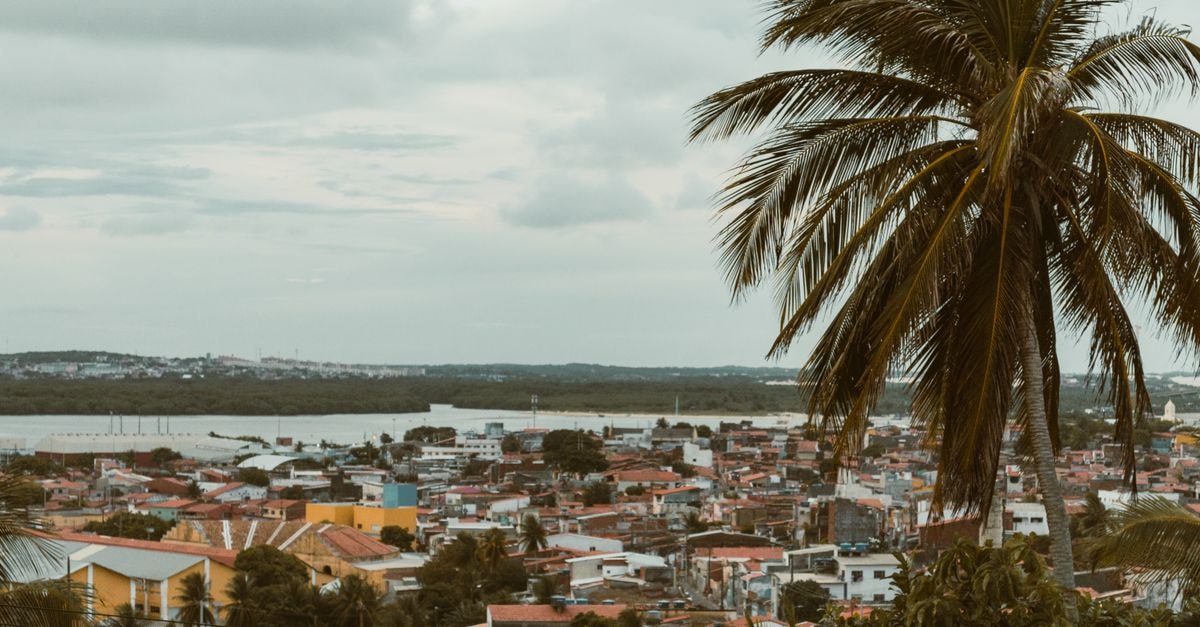Ibis Styles Boa Vista: Well-Placed Stop in Brazil's Northern Capital Scenic view of Natal, Brazil with palm trees and colorful buildings under a cloudy sky.