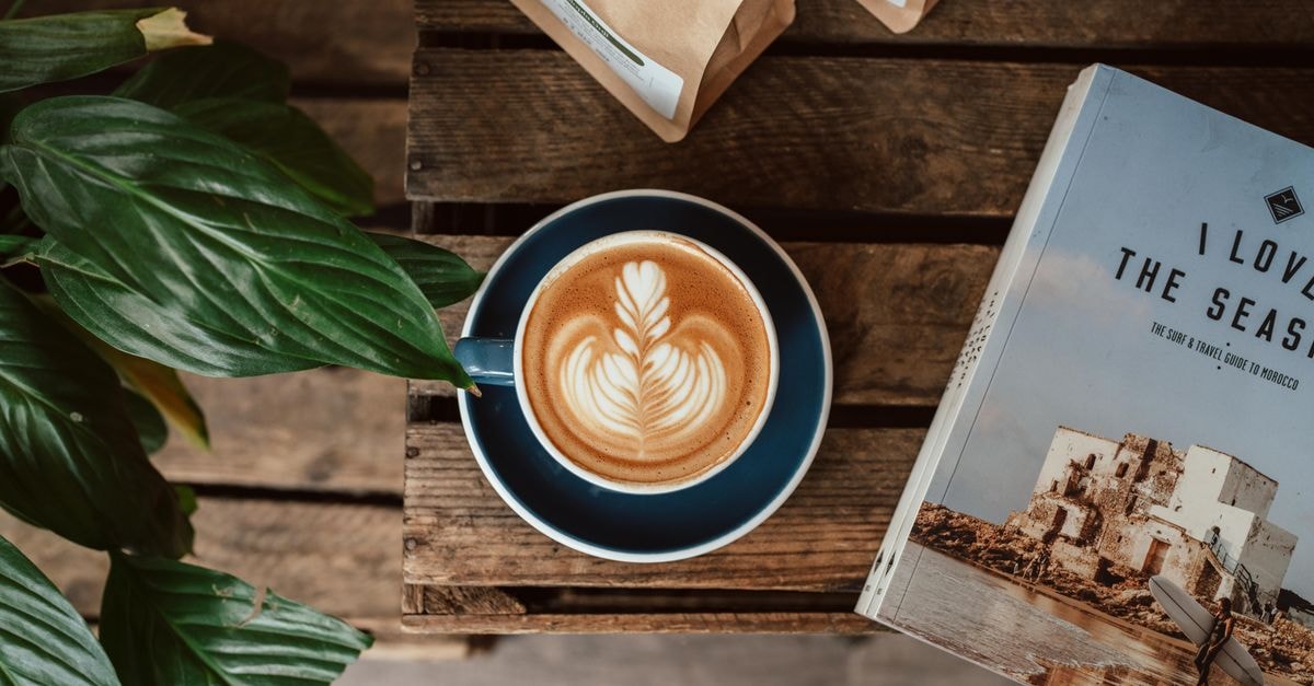 A beautifully crafted latte with intricate art served in a cozy café alongside a travel book and lush plant.