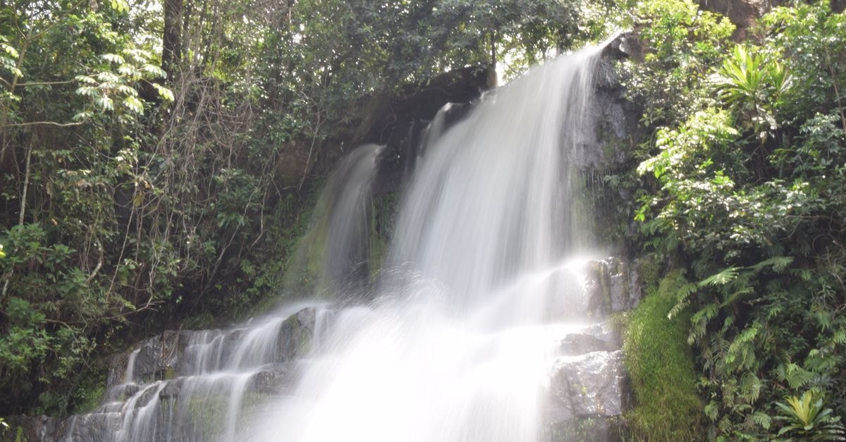 Chachapoyas Travel Guide: Cloud Forest Ruins and Waterfalls Captivating view of a cascading waterfall in a vibrant tropical rainforest with lush greenery.