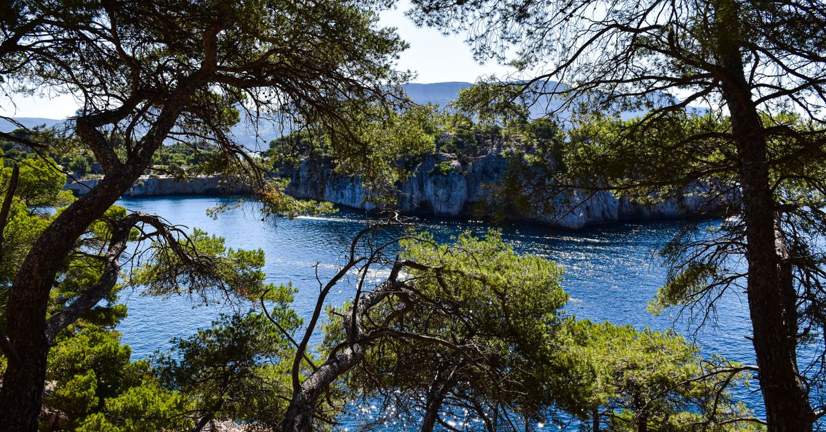 Marseille in July 2026: Heat, Calanques & Provençal Food – A Practical Travel Guide A breathtaking view of the calanques in Provence, France, featuring lush greenery and blue waters.