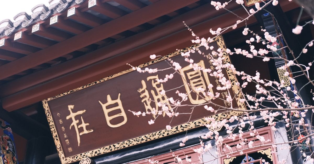 Spring cherry blossoms at Qingyang Palace in Chengdu, China.