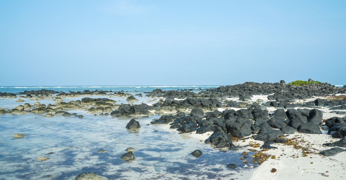 Djibouti Travel Guide: Planning Tips, Costs and Things to Do A serene beachscape featuring clear waters and volcanic rock formations under a blue sky.