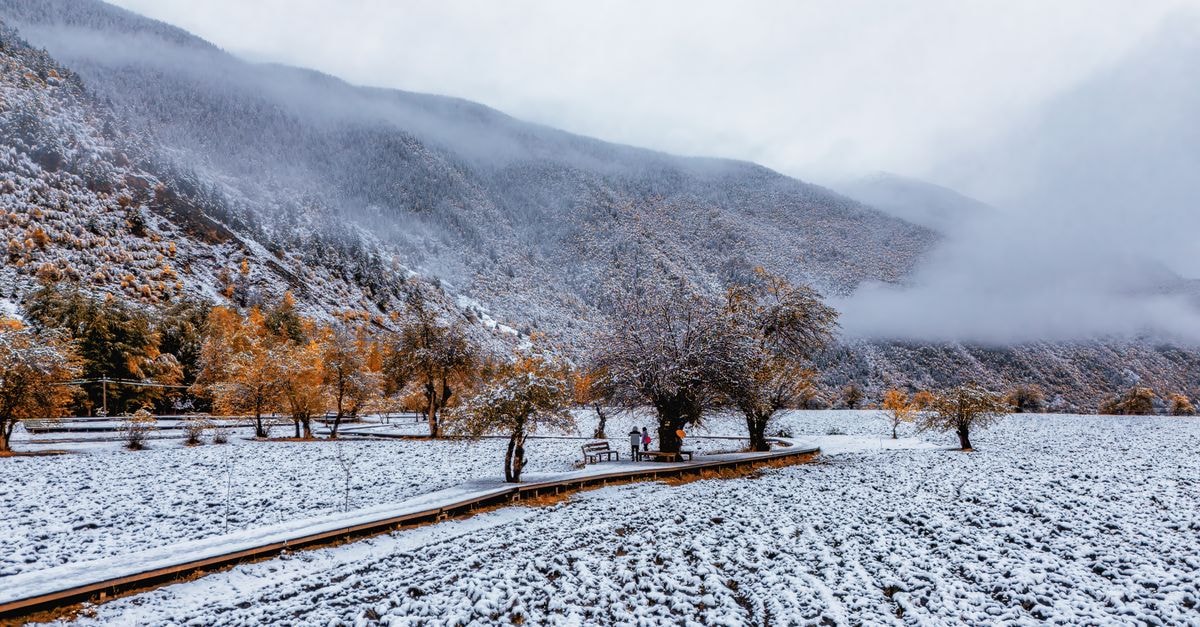 A Quiet Corner of Tibet: A Slow Travel Guide to Nyingchi A serene snow-covered valley with autumn-colored trees and misty mountains in Tibet.