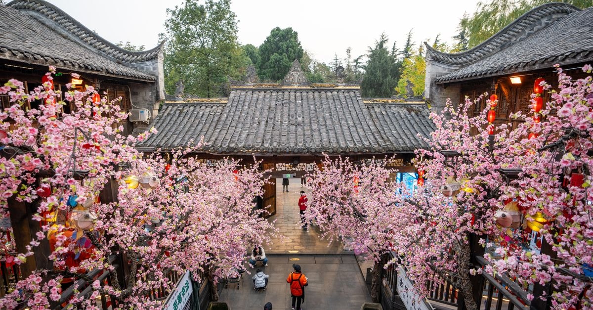 Jinzhou Travel Guide: Planning Tips, Costs and Things to Do A vibrant scene of traditional Asian architecture adorned with cherry blossoms in a bustling courtyard.