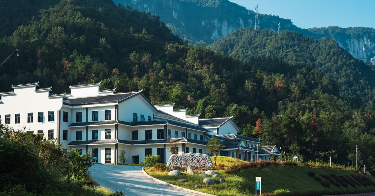 Yichun Travel Guide: Lush Hills, Hot Springs, and Slow Jiangxi Days A modern building set amidst a lush mountain landscape in daylight.
