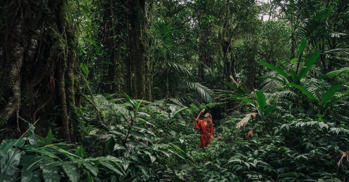 A woman in a red dress exploring a dense tropical jungle, surrounded by lush green foliage.