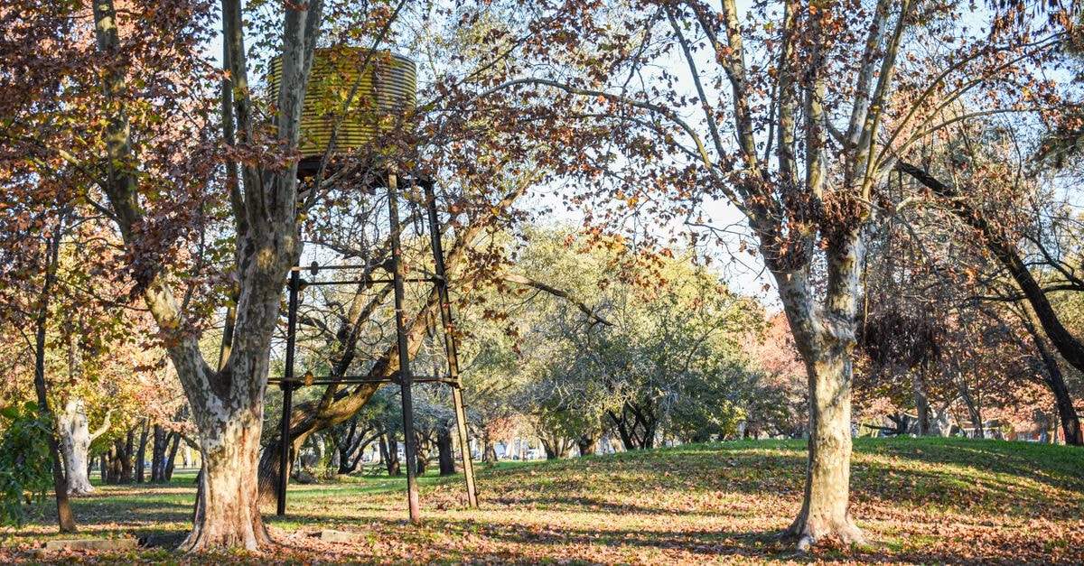 Serene autumn scene with trees and water tank in a park in Gualeguaychú, Argentina.