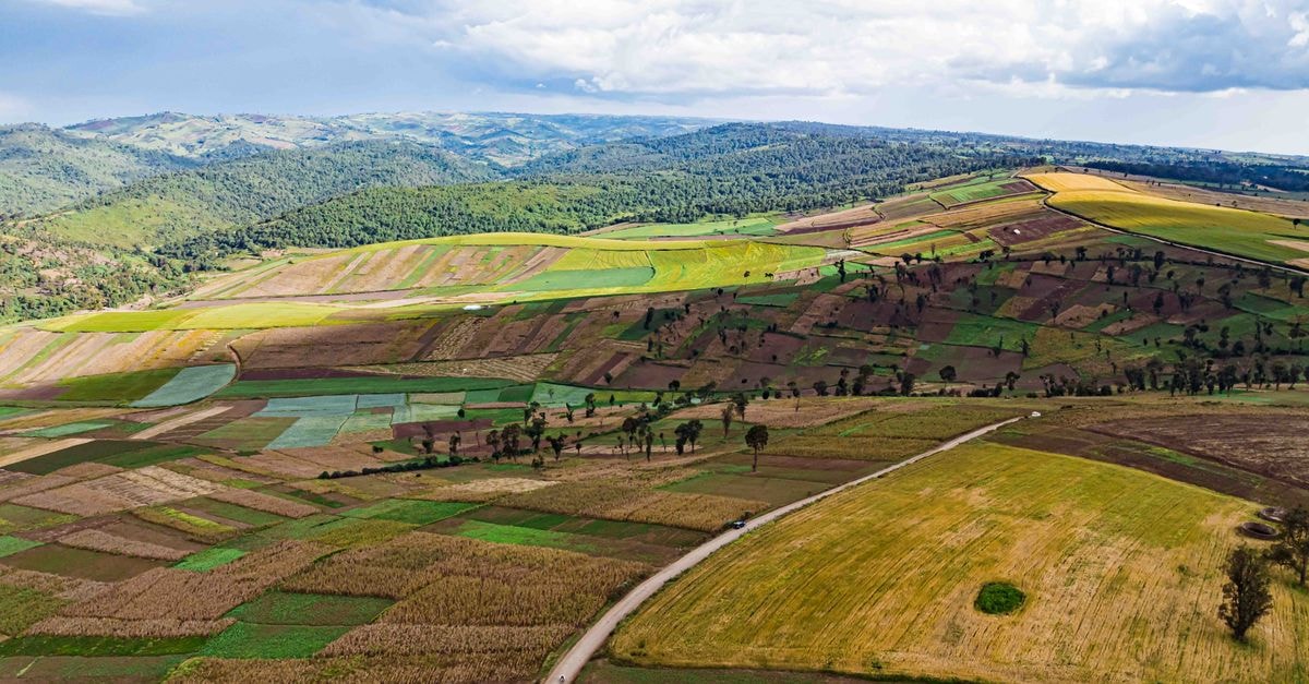 Kikuyu Travel Guide: A Quiet Corner of Kenya's Central Highlands Colorful aerial panorama of vibrant patchwork farmlands in Mau Narok, highlighting the rich agricultural landscape.
