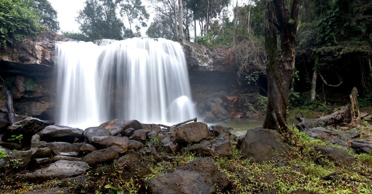 Shivamogga Travel Guide: Waterfalls, Theatre, and Malenadu Flavors Majestic waterfall cascading in a lush forest setting, offering a tranquil and scenic view of nature's beauty.