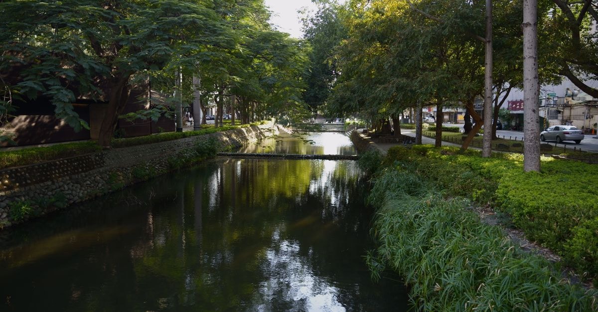 Peaceful urban canal surrounded by lush greenery in Hsinchu City, Taiwan.