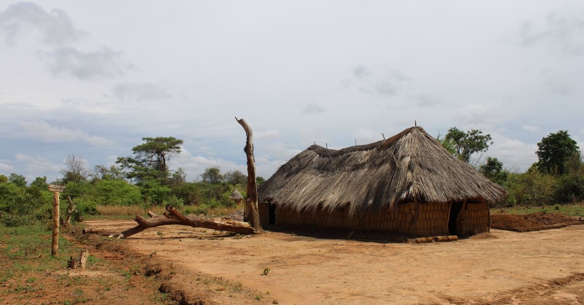 Kasama Travel Guide: Northern Zambia's Quiet Hub Scenic view of a traditional thatched hut in rural Zambia against a clear sky.