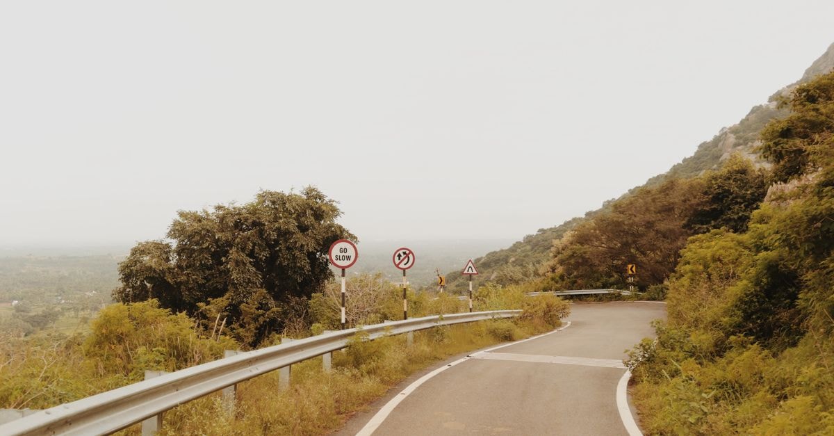 Lubango Travel Guide: High Angola for Slow Explorers Winding mountain road with lush greenery and traffic signs under a bright sky.