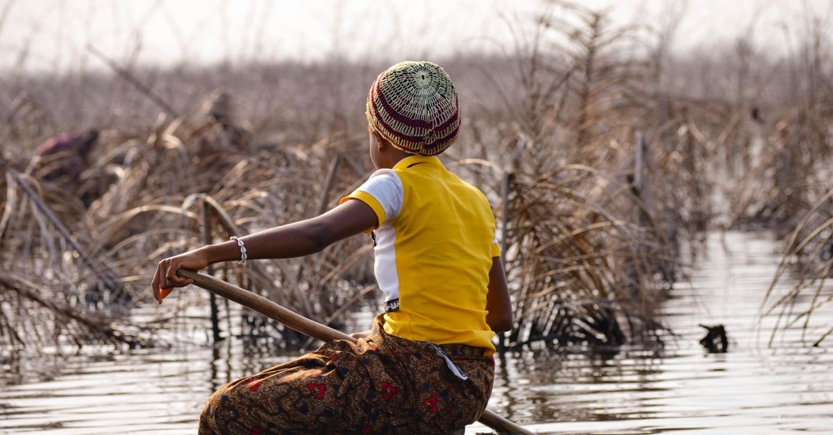 A person paddling a boat through reeds in Ganvié, Benin.