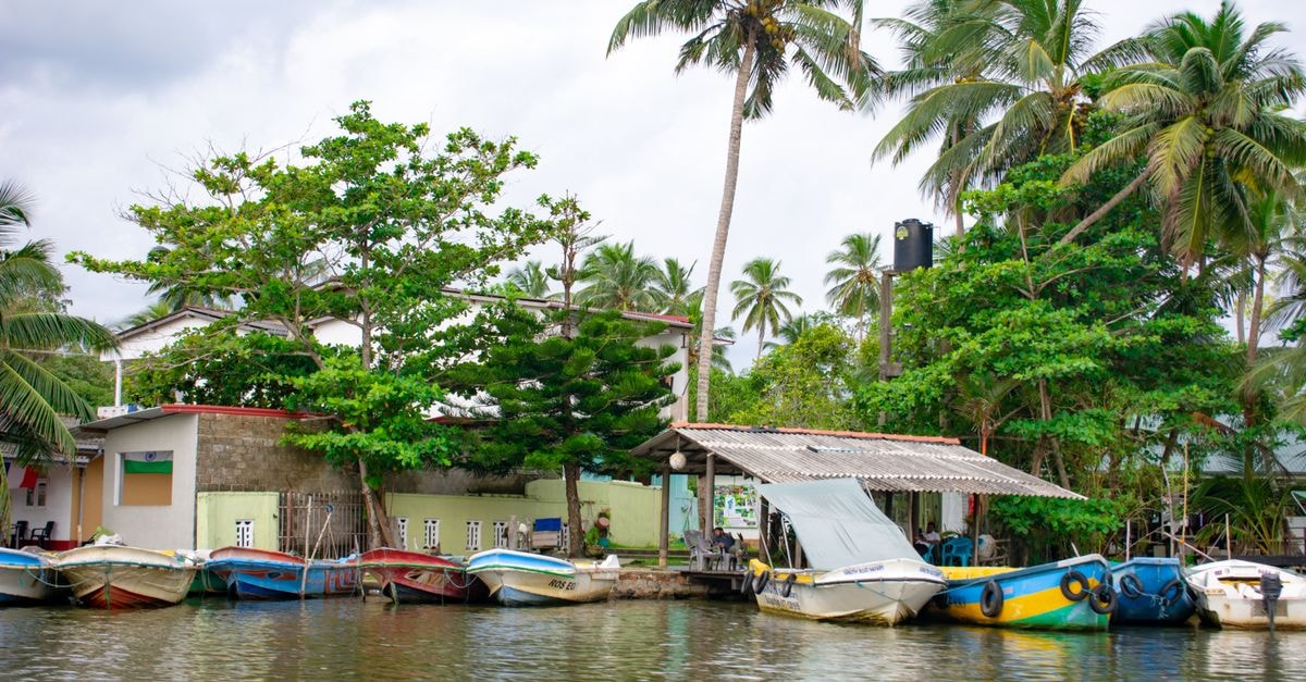 Scenic tropical village showcasing moored boats along the river with lush palm trees.