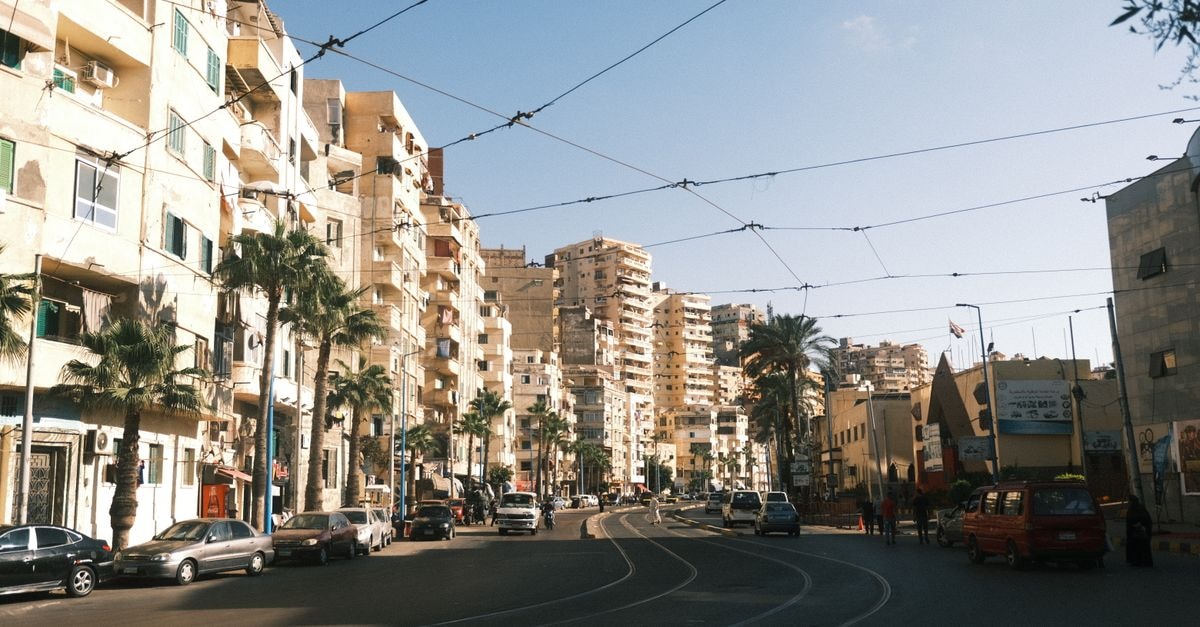 Vibrant urban street view in Alexandria, Egypt, featuring cars and palm-lined buildings under a clear blue sky.