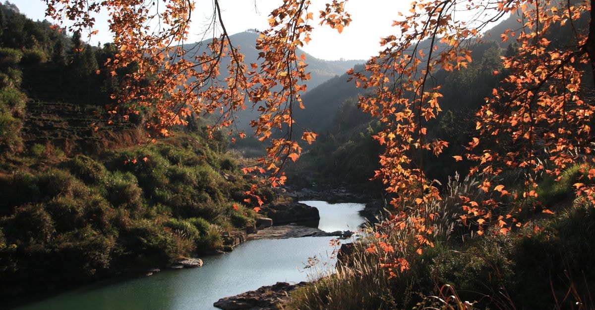 Peaceful creek winding through autumn landscape, vibrant foliage in a serene natural setting.