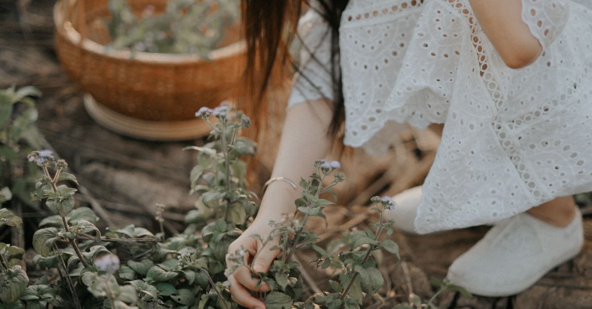 Salana Boutique Hotel in Vientiane: A Riverside Sanctuary Since 2012 A woman in a white dress picking wildflowers in a natural outdoor setting.