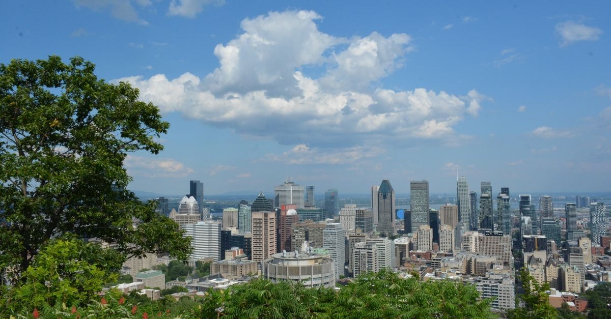 Hôtel Omni Mont-Royal, Montreal — Golden Square Mile Retreat A breathtaking view of Montreal's skyline from Mount Royal with lush greenery and a blue sky.