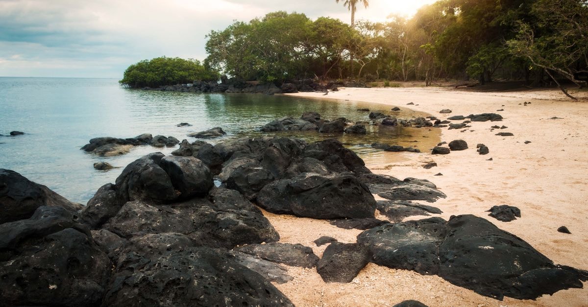 A tranquil beach scene at sunrise with volcanic rocks and lush greenery in East Java, Indonesia.