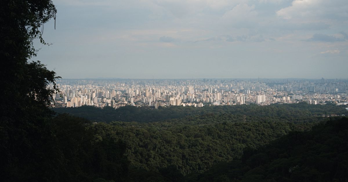 Blue Tree Towers Joinville in Joinville: City-View Stays in the Cidade das Flores Expansive city skyline view with dense green forest in the foreground under a cloudy sky.
