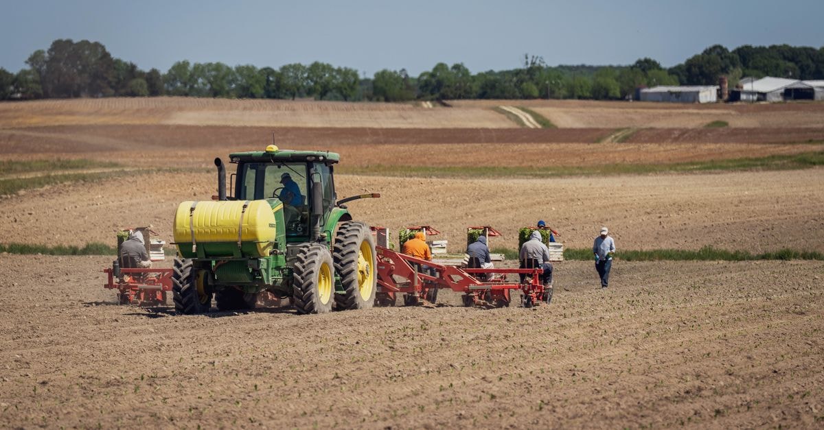 菲律賓推出 Balik Agri-OFW 計畫,協助返國勞工 春天晴朗藍天下,一臺曳引機與農夫在犁過的田地上工作。