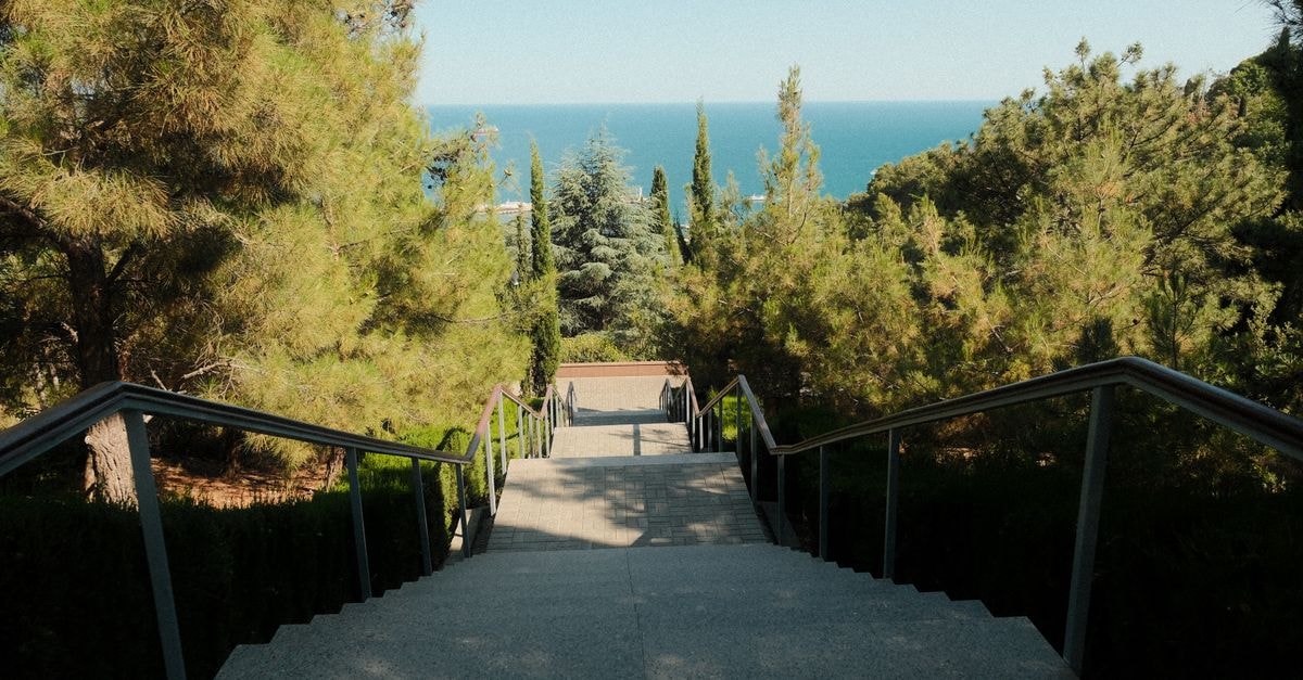 Taganrog Travel Guide: A Chekhov Seaside City Worth Discovering Serene walkway through lush greenery with a beautiful ocean view.