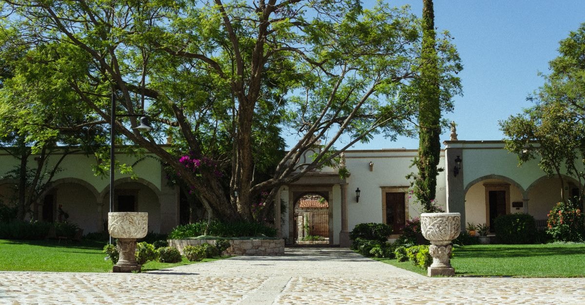 Cuernavaca Travel Guide: Gardens, History and Slow Mexico Days Sunlit courtyard with lush trees and classic stone paths in Comonfort, Mexico.