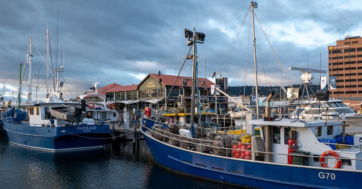 Whangarei Travel Guide: Planning Tips, Costs and Things to Do Fishing boats docked at Hobart waterfront in Tasmania during early morning light.