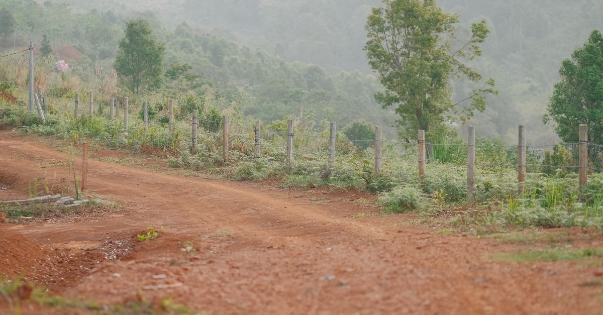A serene dirt road lined with green hills and trees, representing rural tranquility.