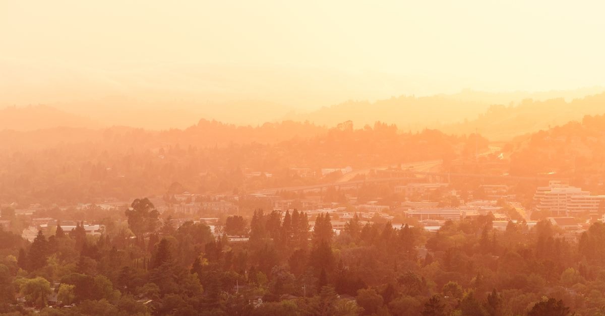 Mercure Hotel Santa Rosa, Santa Rosa — A Route 5 & 35 Crossroads Stay Drone view of green trees with lush foliage in bright sunlight and smog